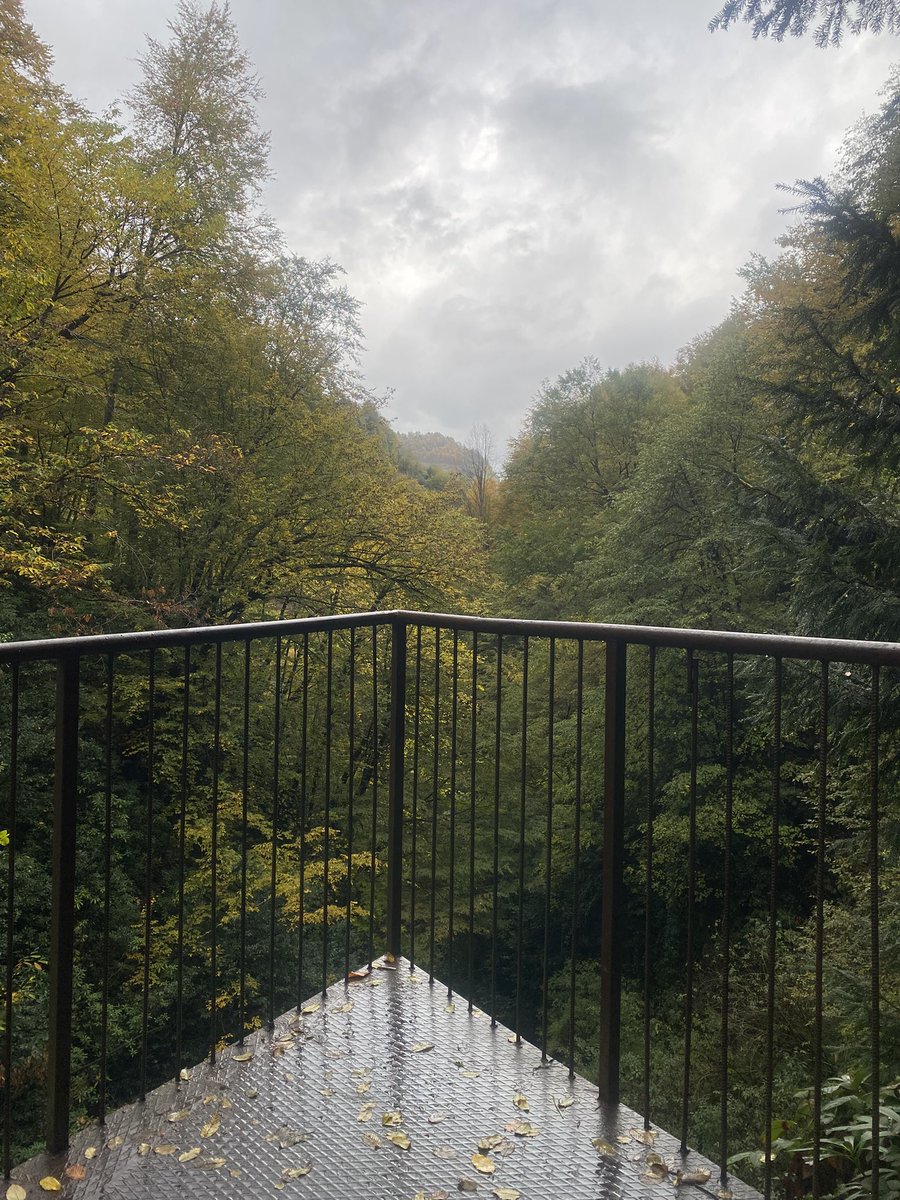 📍Güzeldere Tabiat Parkı
  
W/ <a href="/pskalakamen/">MT</a> 🕊️