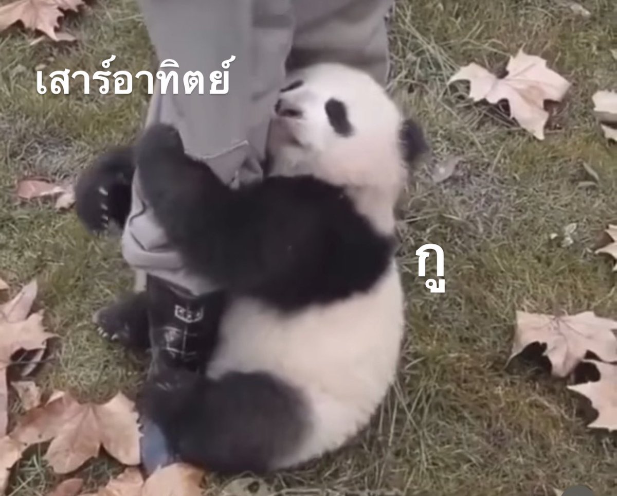 sfkkfs_'s tweet image. สภาพกุไม่อยากให้ถึงวันจันทร์ :