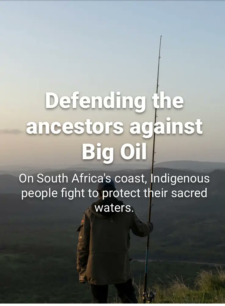 Greenpeace International tweet media