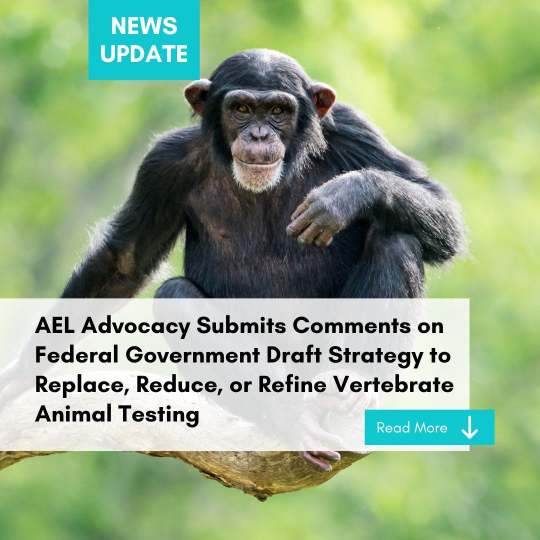 AEL Advocacy (@aeladvocacy) / Posts / X