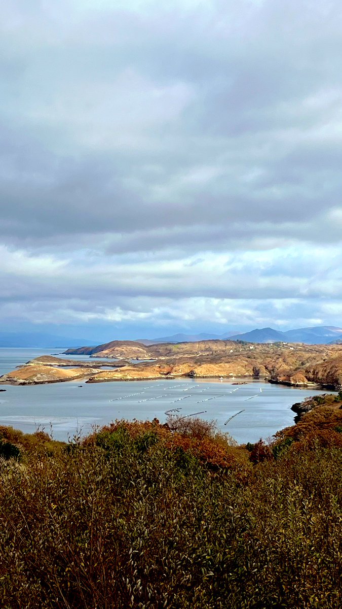 Julie Kelleher tweet media