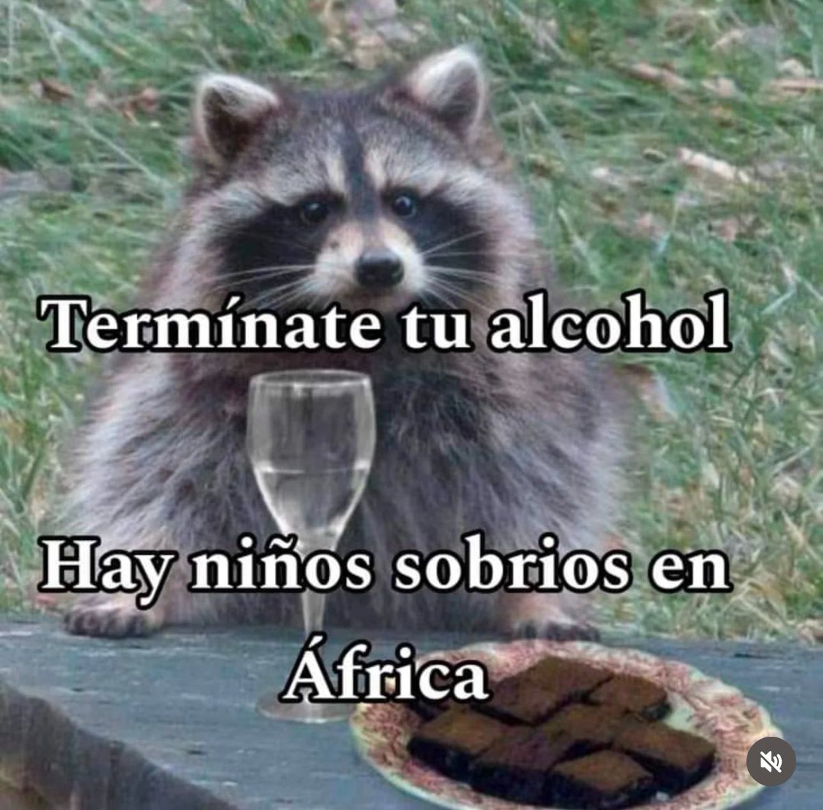soyMargarlto's tweet photo. No dejen nada https://t.co/JWiYXhNZqE