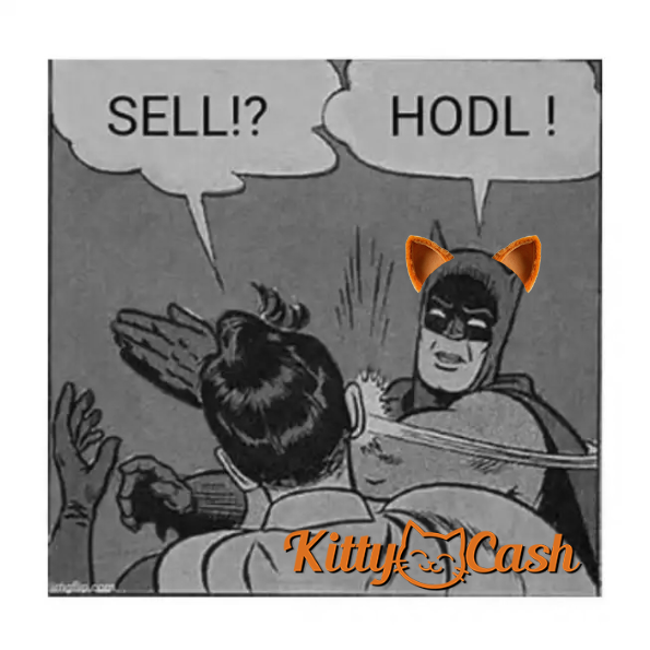 KittyCash_20's tweet photo. GM KittyCash fam 😼💸$KITTY #KITTYCASH #FractalBitcoin #CAT20 #KITTYBOT #BUYBOT #UNISAT #SATSPUMPFUN #DOTSWAP https://t.co/nF0vcfrrPv