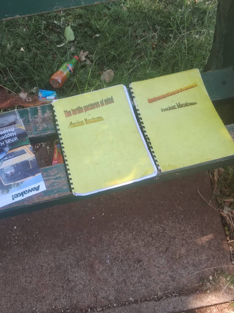 This morning, while taking a walk in Harare Gardens Park as part of my routine exercises and reflections, I met Precious Masukume, a man with a vision and a dream to see his words in print and to share his knowledge with a wider audience. He sat on the bench, holding a placard
