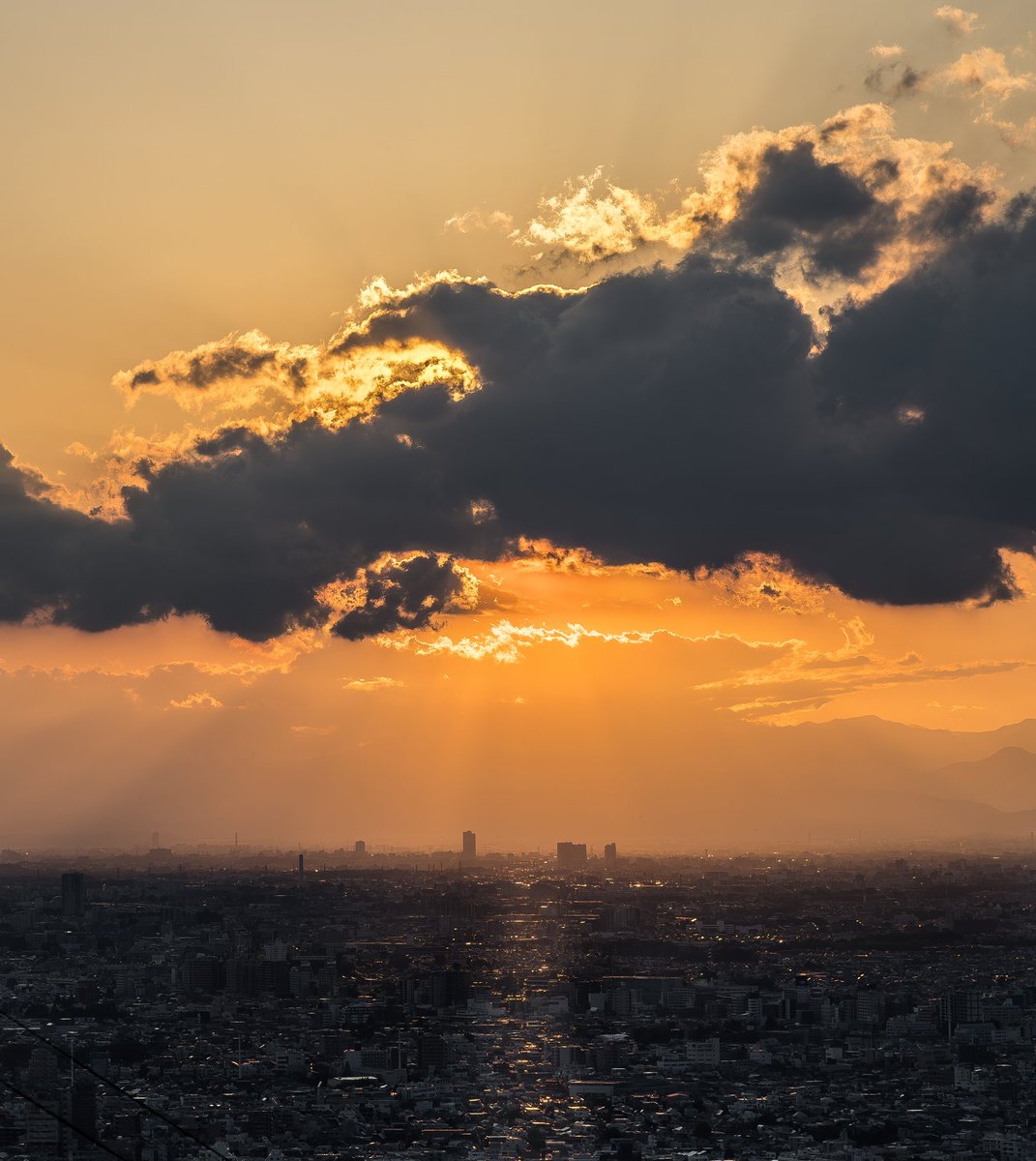 _harmoid_'s tweet photo. SHIBUYA SKY https://t.co/3Pe3Fy03rE