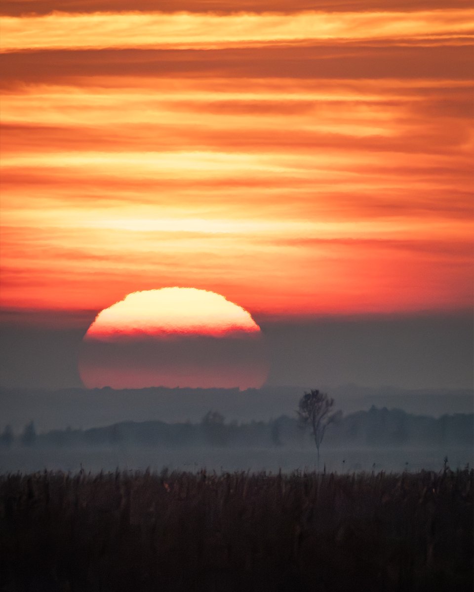 Serengeti-style sunset over Poland's Biebrza Marshes as the mist rolled in 😍🇵🇱☀️

#SundayYellow #sunset #landscapephotography #landscape #sundayvibes #NatureBeauty #ThePhotoHour #nature #walking #travel #Poland