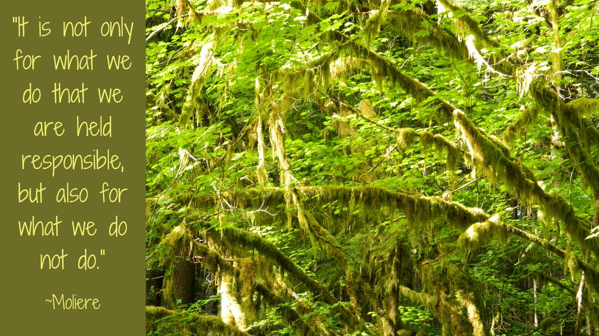 “It is not only for what we do that we are held responsible, but also for what we do not do.” ~Moliere #ChooseKindness #KindnessMatters #election amzn.to/2STbrcK