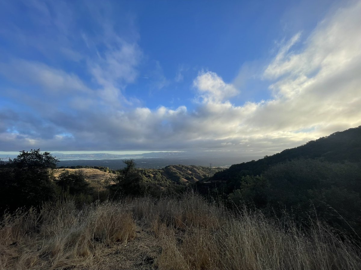 Goro Kosaka (@goro56) on Twitter photo 