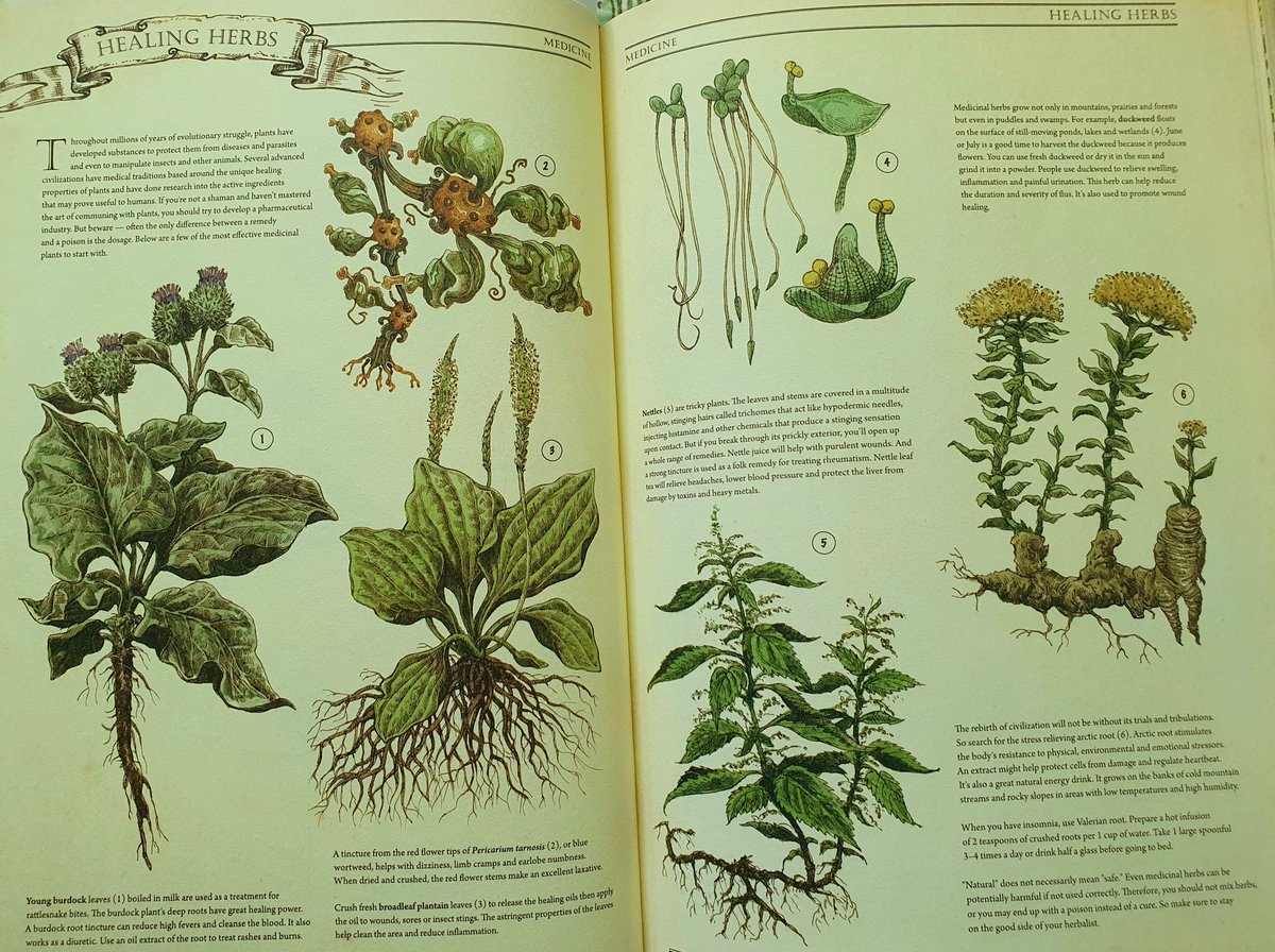 Splashed out and bought "The Book: The Ultimate Guide to Rebuilding Civilisation" and honestly... This book is amazing. It has absolutely everything and the illustrations are excellent.

I love it!

#book #BookoftheDay #booklover #readingcommunity #bookcommunity