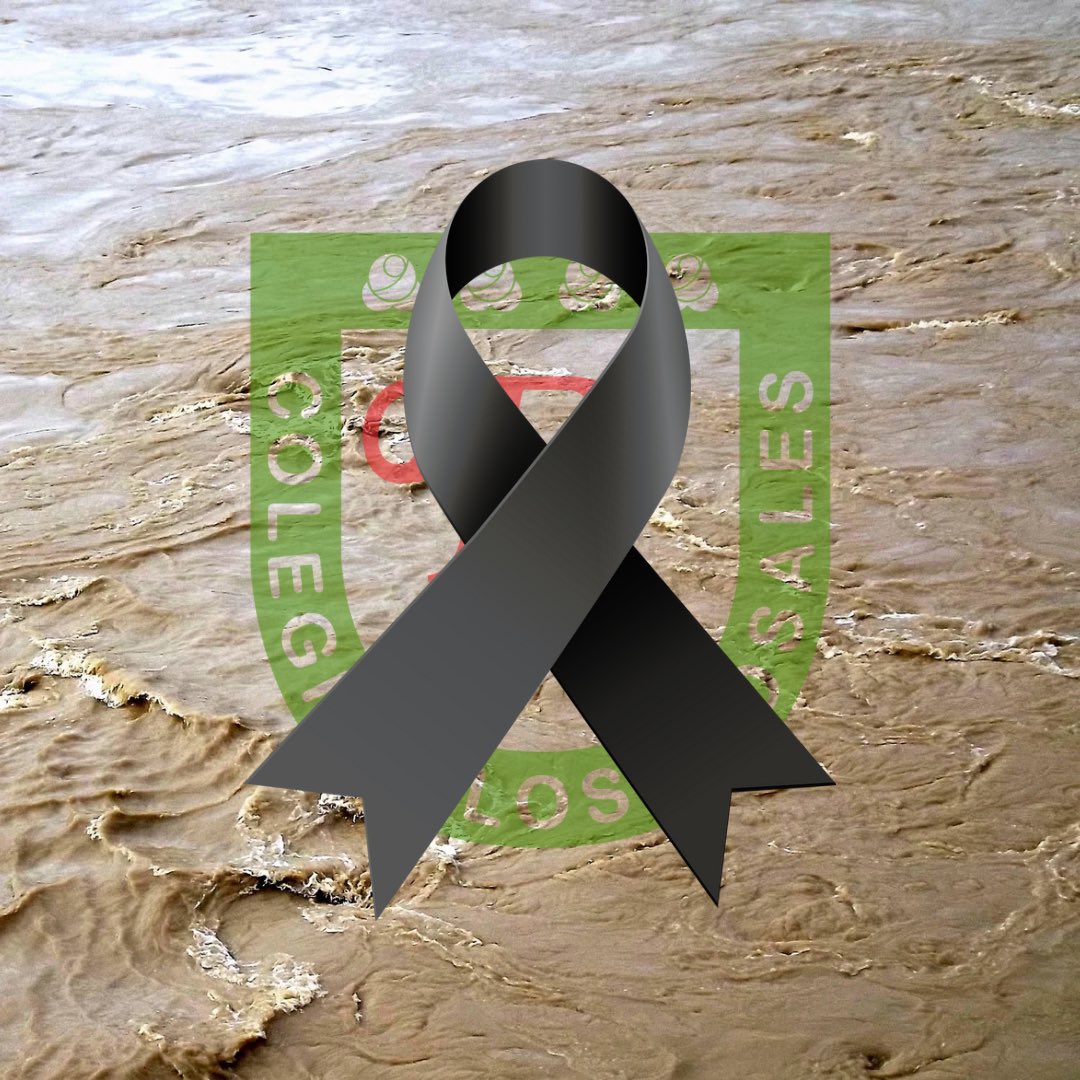 Con el corazón encogido, desde la Comunidad Educativa del Colegio Los Rosales, queremos mandar todo nuestro apoyo y cariño a las miles de personas afectadas por la DANA. 

Nuestro pésame a las familias que han perdido a sus seres queridos en Valencia.
 
#seaprendeloquesevive