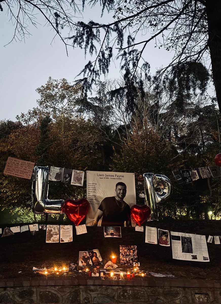 eyluladores's tweet photo. We held a memorial for Liam in Istanbul yesterday and someone pointed out the silhouette in the trees... https://t.co/GaDfTByWKT
