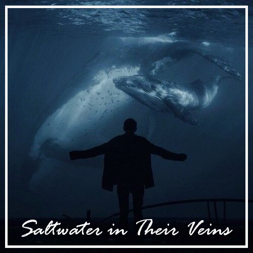 ✨💜 King 💜✨ tweet media