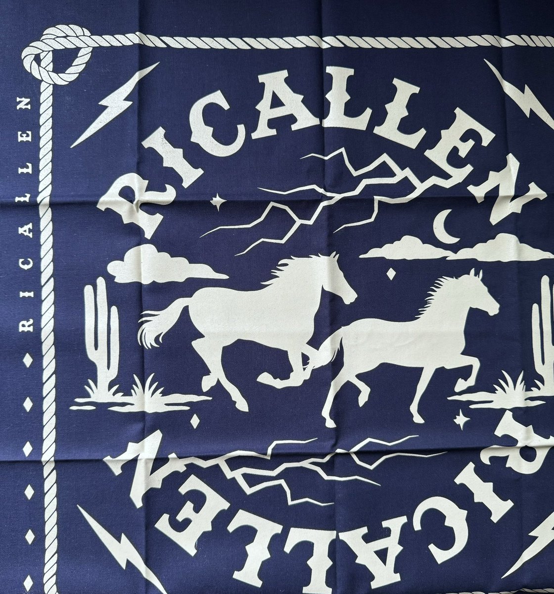 GingerBeloved's tweet photo. Ricallen can’t be stopped @danielricciardo X @JoshAllenQB Go Bills! #BillsMafia 

 https://t.co/LVp7R88QLt https://t.co/CqzMQrWENk
