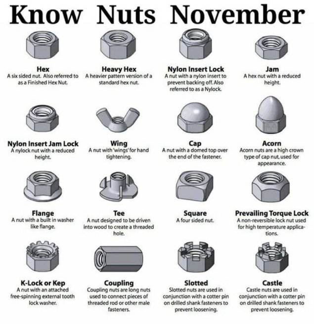 Know your nuts in November