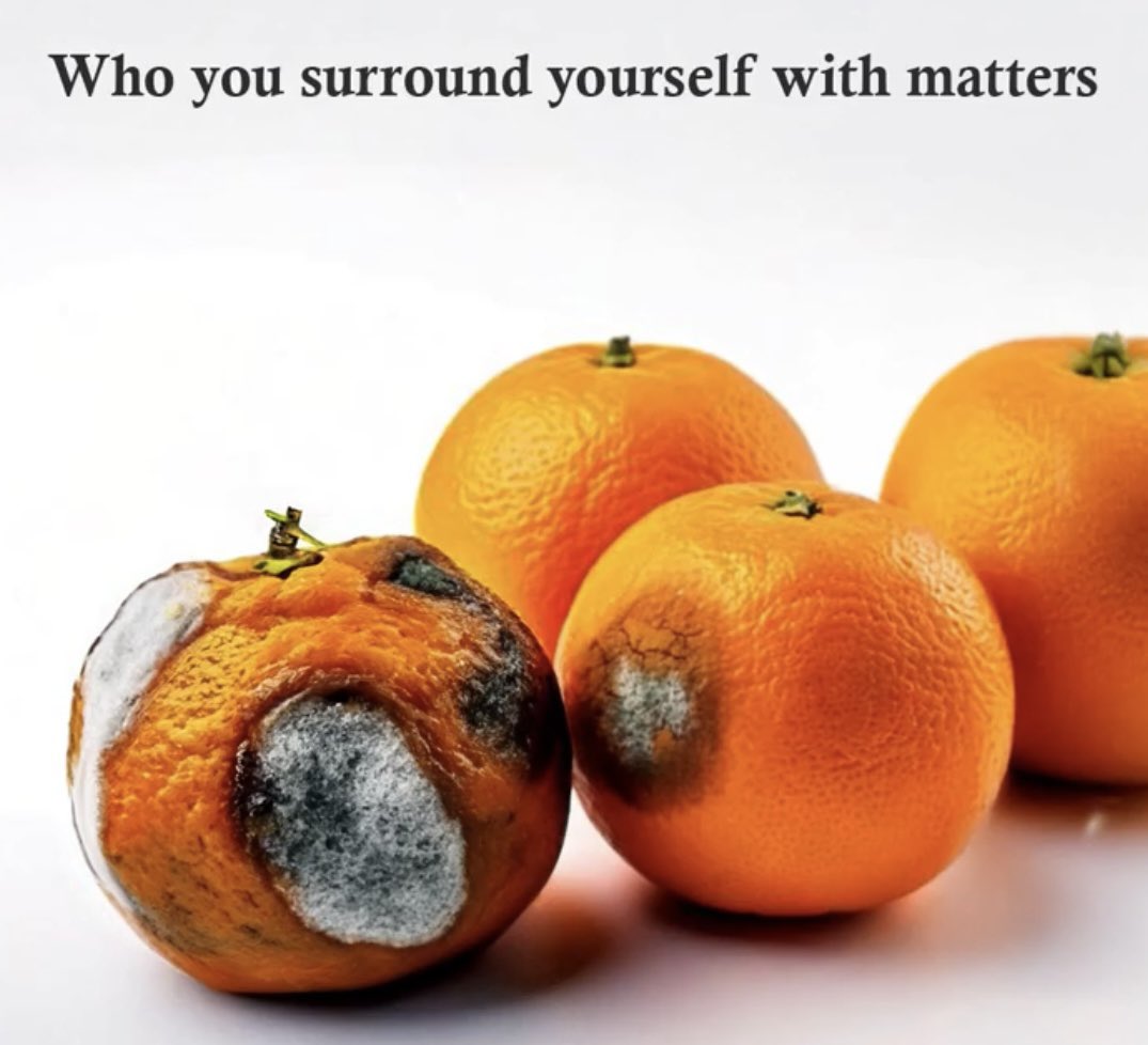 Joanna Foster tweet media