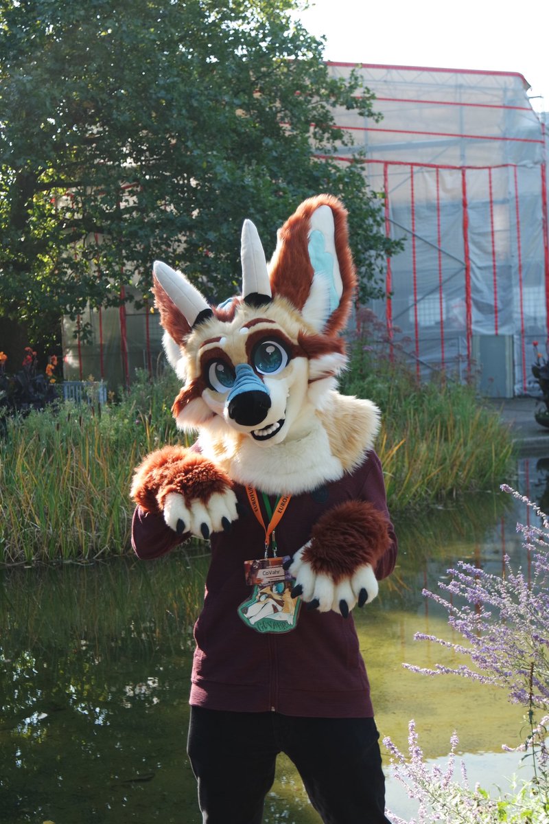 CoVahr 🦊🐉🎹 tweet media