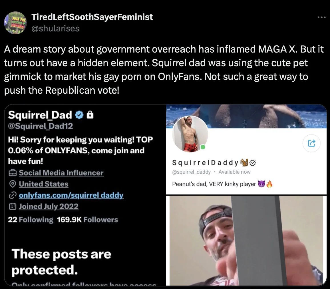 Please tell me the squirrel wasn't involved in the Squirrel Daddy porn