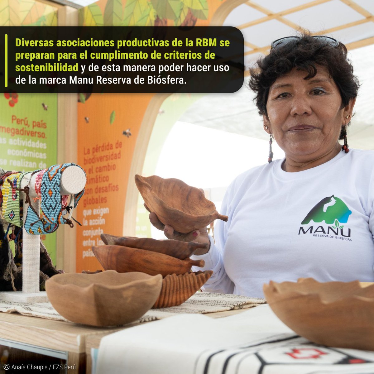 fzsperu's tweet image. ▶️ Los logros de este año han sido posibles gracias al #ProyectoAmazonía, ejecutado por @UNESCOperu, a través del Parque Nacional del Manu y la @fzsperu, con el apoyo de #LVMH.  (3/4)