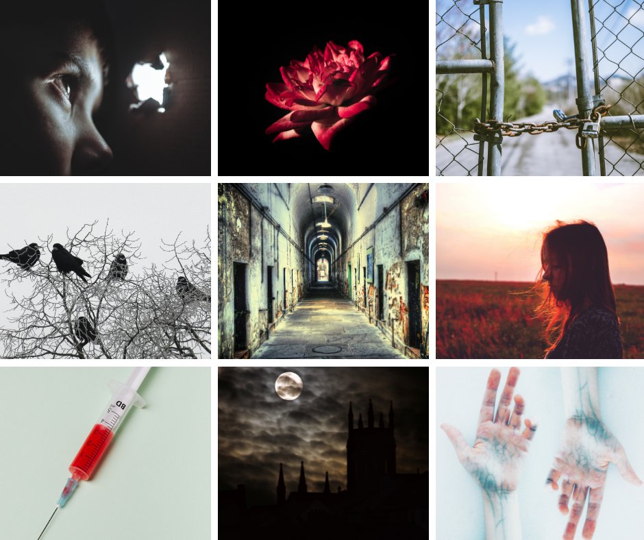 RDCwrites's tweet image. COLDEST GIRL IN COLDTOWN x CITY OF NIGHTMARES

In a near-future city where emotions are used like drugs, two sisters find themselves on warring sides: one as a police informant trying to bring down the crime ring, the other as its cold-blooded enforcer. #QuestPit #Q #YA #DF #T