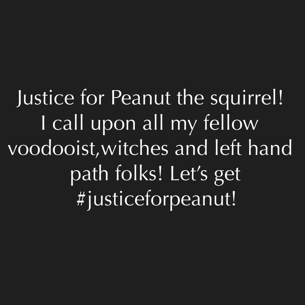 I call upon all my voodoo peeps, witches ,left hand path folks right now.And hereby ask you to CURSE the people involved with taking this poor man's pet squirrel and raccoon and euthanizing them!!!!! 

#justiceforpeanut