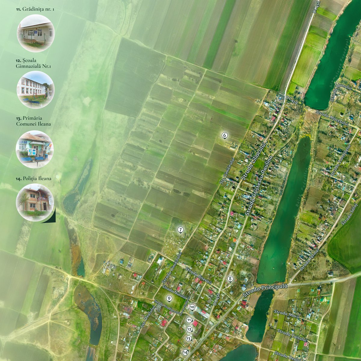 Oana Candit tweet media