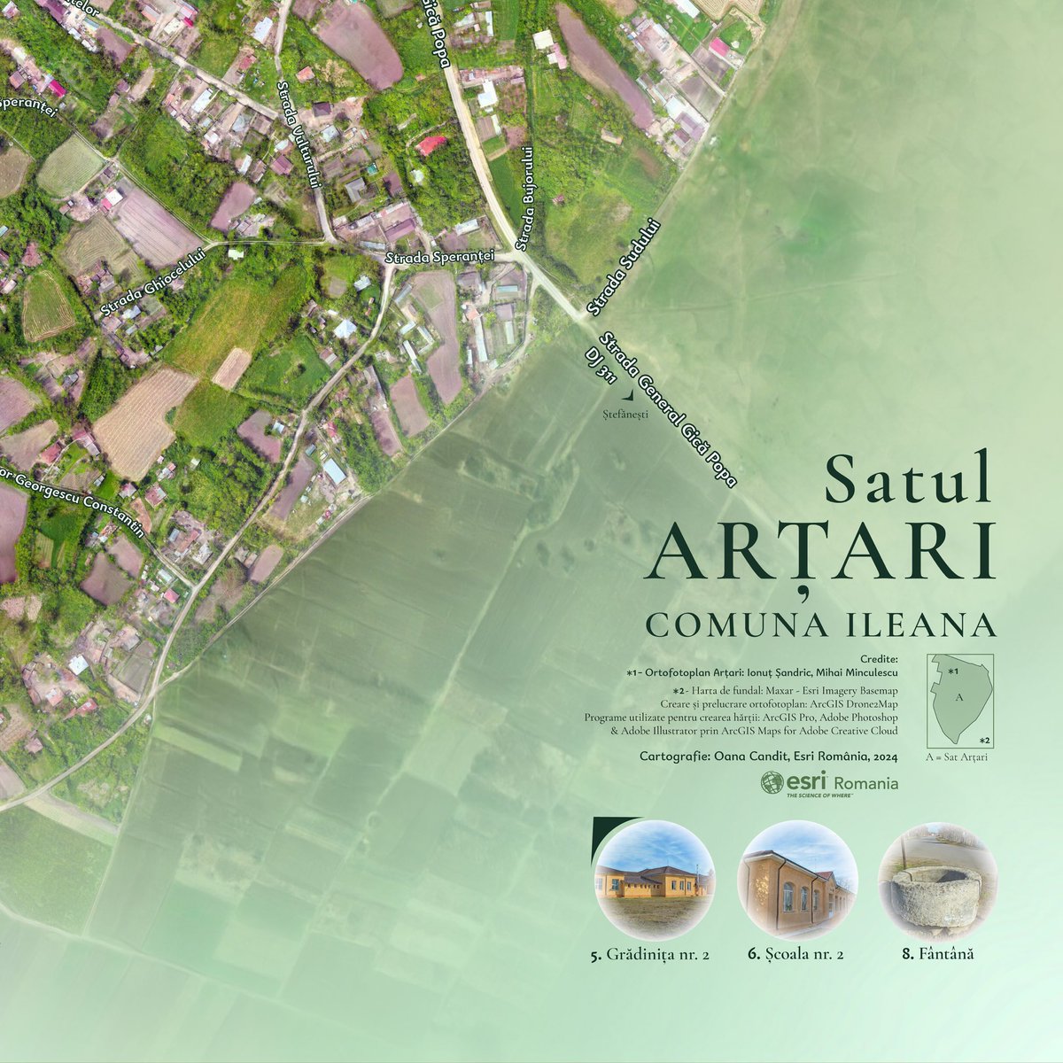 Oana Candit tweet media