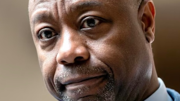 anyonewantchips's tweet photo. There’s nothing more pathetic than Tim Scott repeatedly humiliating himself to placate the adjudicated rapist. https://t.co/QOKky19Jkq
