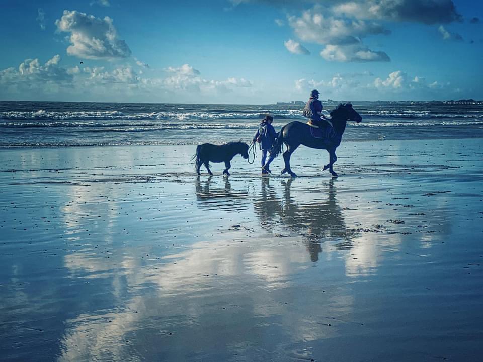waves_wings's tweet photo. Ogmore by Sea in the November sun, taken a year ago today , today is is a lot cloudier !! #ogmorebysea #valeofglamorgan #heritagecoast #seascapephotography #WALES https://t.co/dvctYmcMGD