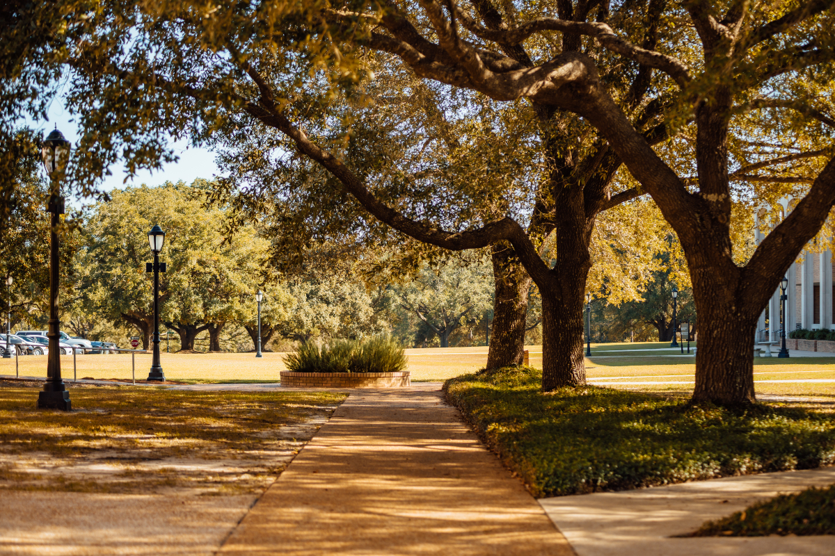 The steadfast love of the Lord never ceases; his mercies never come to an end; they are new every morning; great is your faithfulness. 
Lamentations 3:22-23
-
📸: Camden Jewell 
#BeKnownUM #UniversityOfMobile #ExperienceTheDifference #SundayScripture