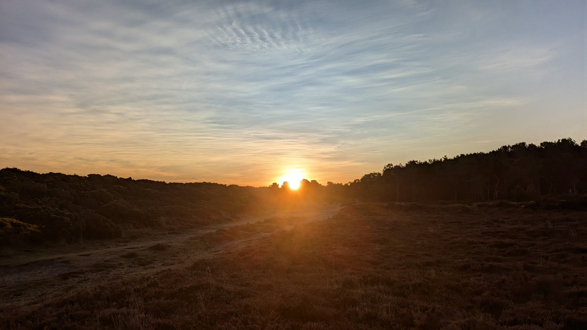 🏴Kenny Armet🏴 tweet media