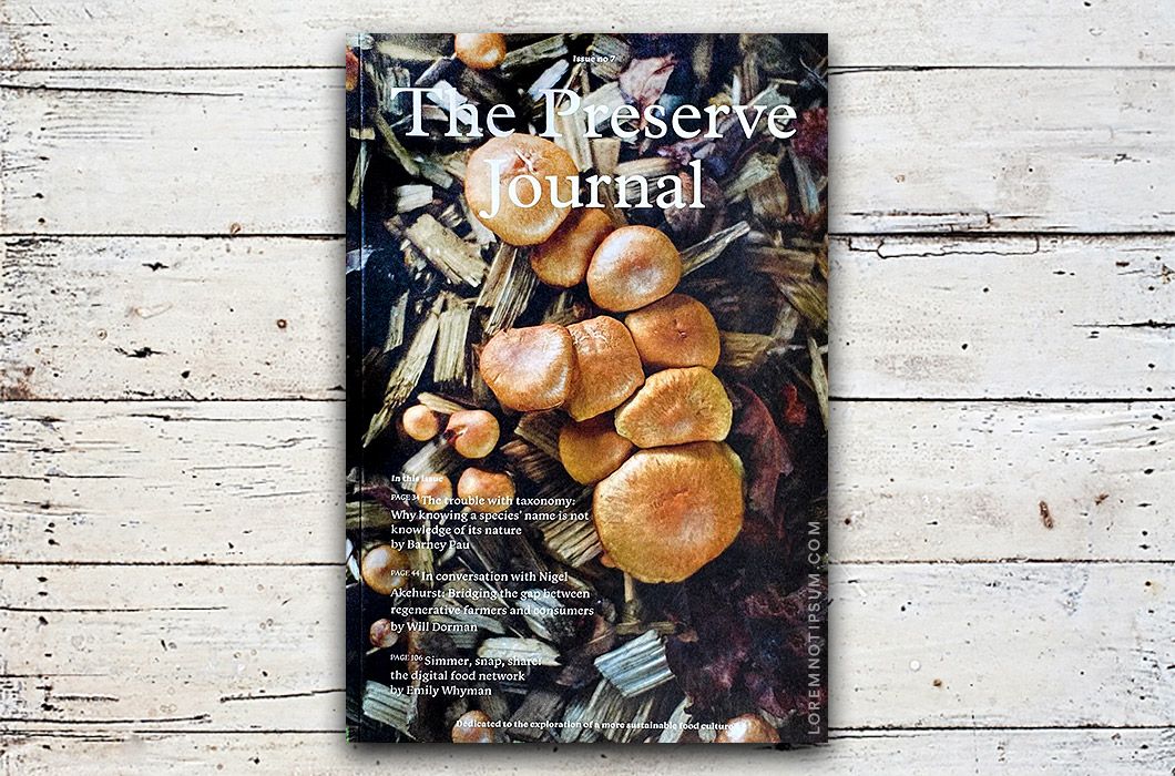 LOREM (not Ipsum) tweet media