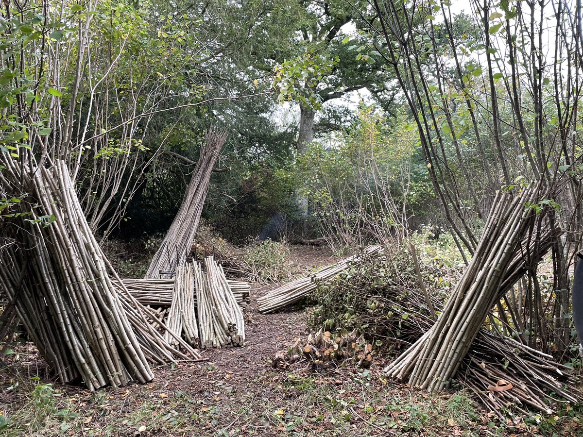 Copsework tweet media