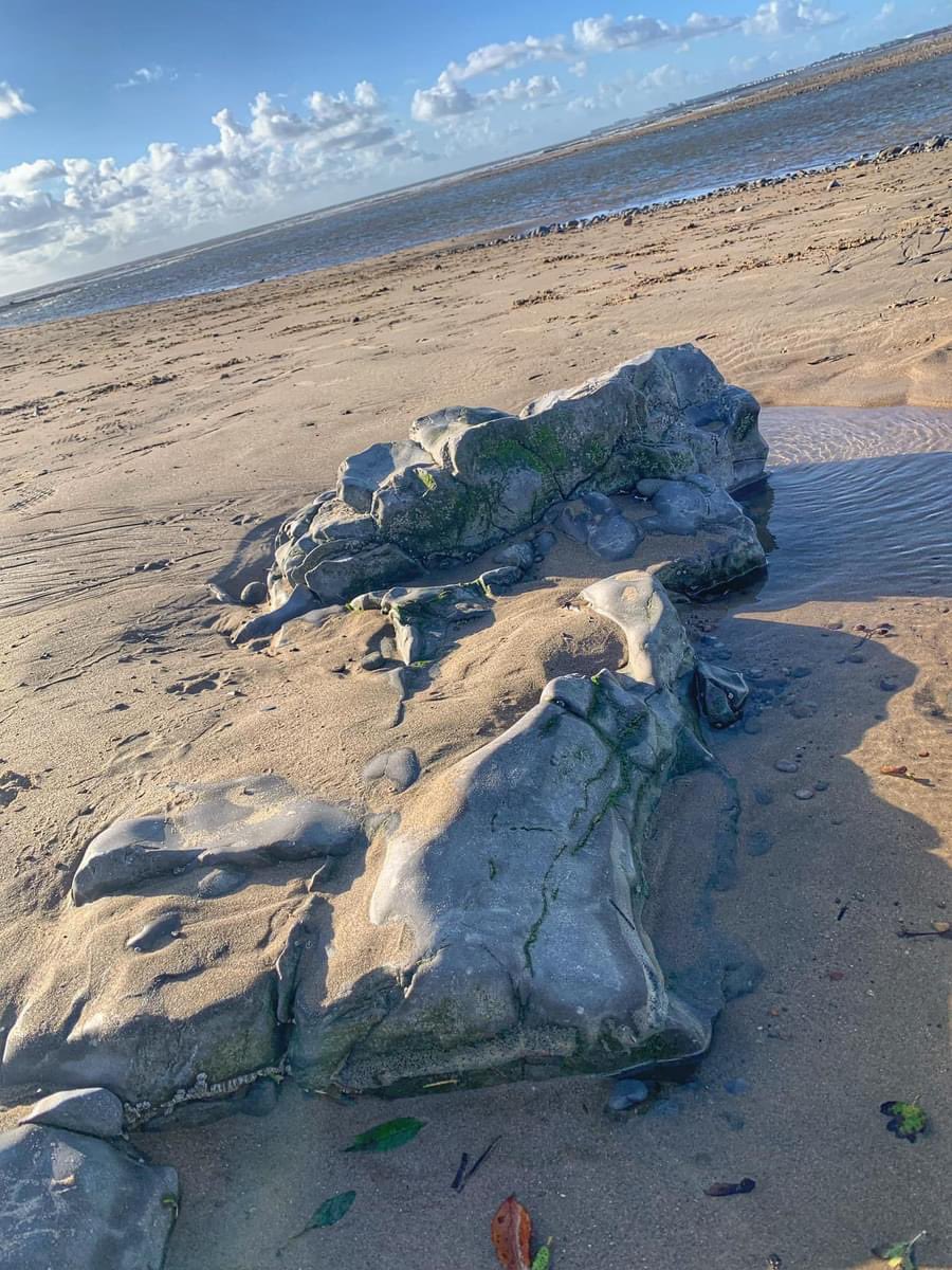 waves_wings's tweet photo. Ogmore by Sea in the November sun, taken a year ago today , today is is a lot cloudier !! #ogmorebysea #valeofglamorgan #heritagecoast #seascapephotography #WALES https://t.co/b7Z6PxyyJ8
