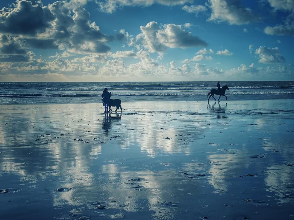 waves_wings's tweet photo. Ogmore by Sea in the November sun, taken a year ago today , today is is a lot cloudier !! #ogmorebysea #valeofglamorgan #heritagecoast #seascapephotography #WALES https://t.co/b7Z6PxyyJ8