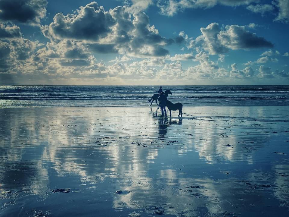 waves_wings's tweet photo. Ogmore by Sea in the November sun, taken a year ago today , today is is a lot cloudier !! #ogmorebysea #valeofglamorgan #heritagecoast #seascapephotography #WALES https://t.co/b7Z6PxyyJ8