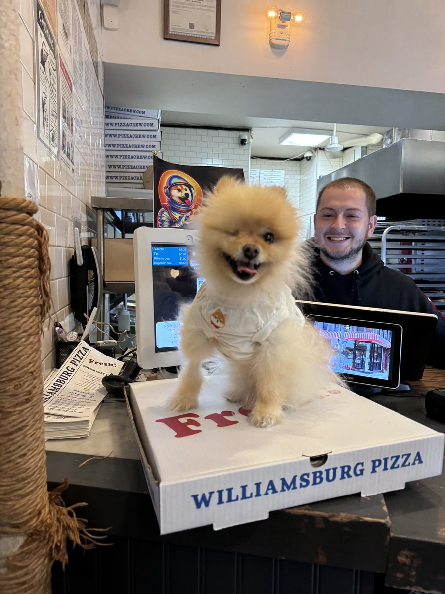 Lara Eurdolian tweet media