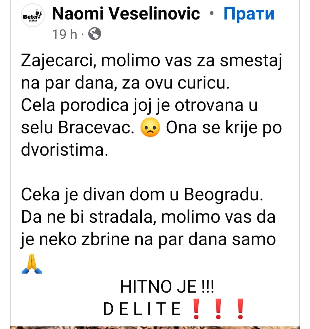 Ljudiii ona je još uvek sama napolju! Mala nejaka mrvica!!! Pomozite joj! ❤🐾❗❗❗