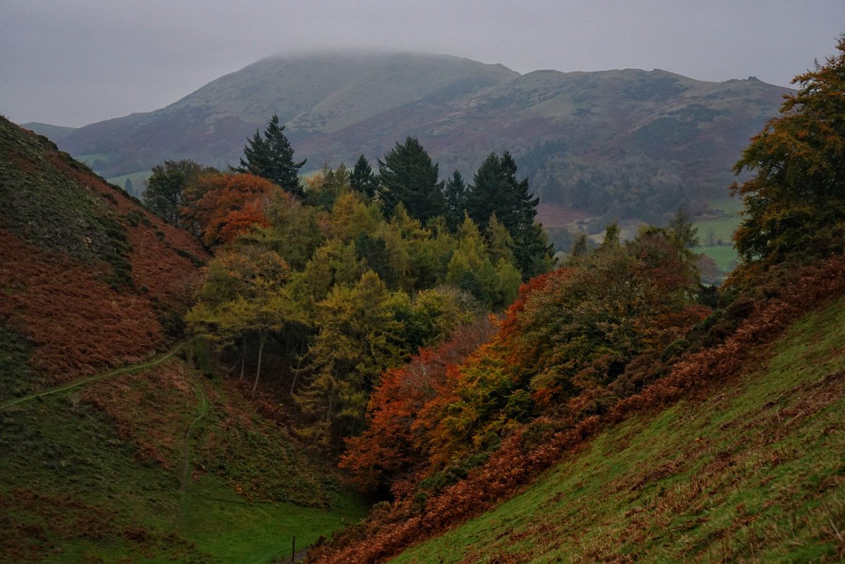 Matthew Halstead (@csmaff) on Twitter photo #Autumn colour on <a href="/nationaltrust/">National Trust</a>’s #Longmynd, #ChurchStretton, #Shropshire today. #Photography <a href="/ThePhotoHour/">#ThePhotoHour</a> #Autumn colour on <a href="/nationaltrust/">National Trust</a>’s #Longmynd, #ChurchStretton, #Shropshire today. #Photography <a href="/ThePhotoHour/">#ThePhotoHour</a>