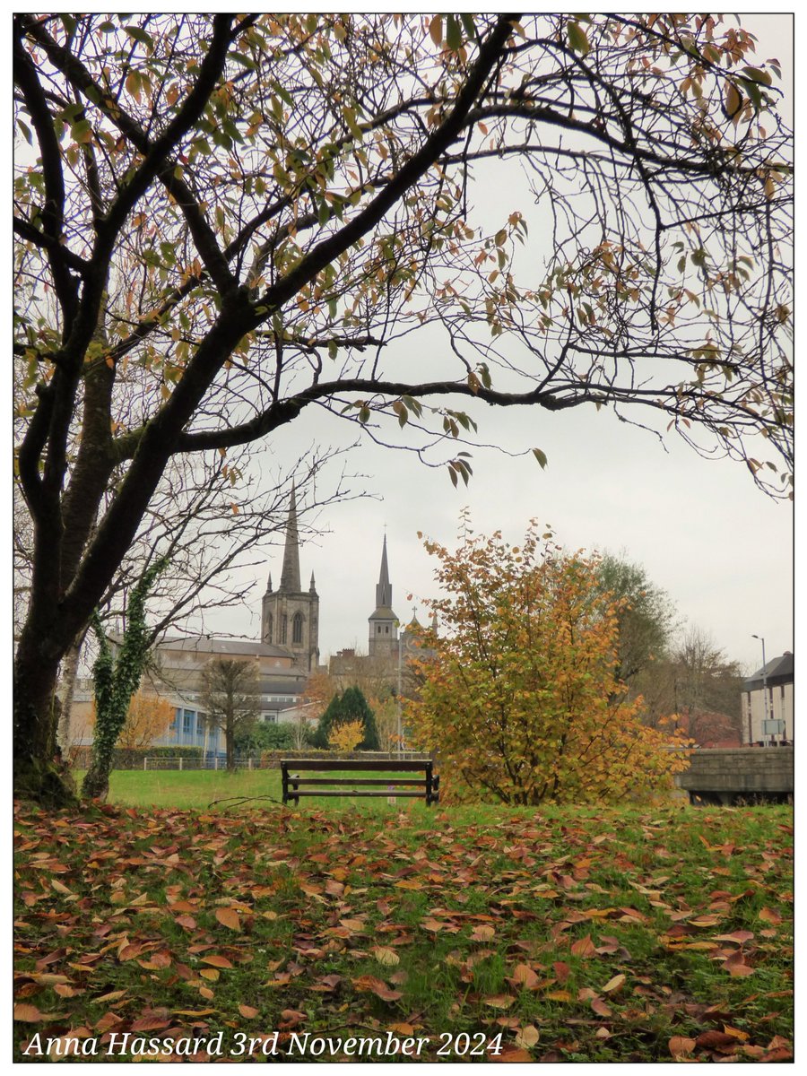 AnnaInFermanagh's tweet image. 