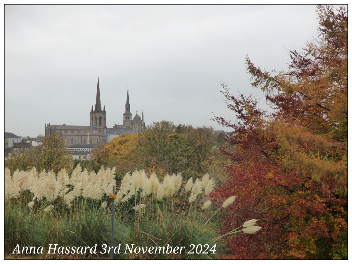 AnnaInFermanagh's tweet image. 