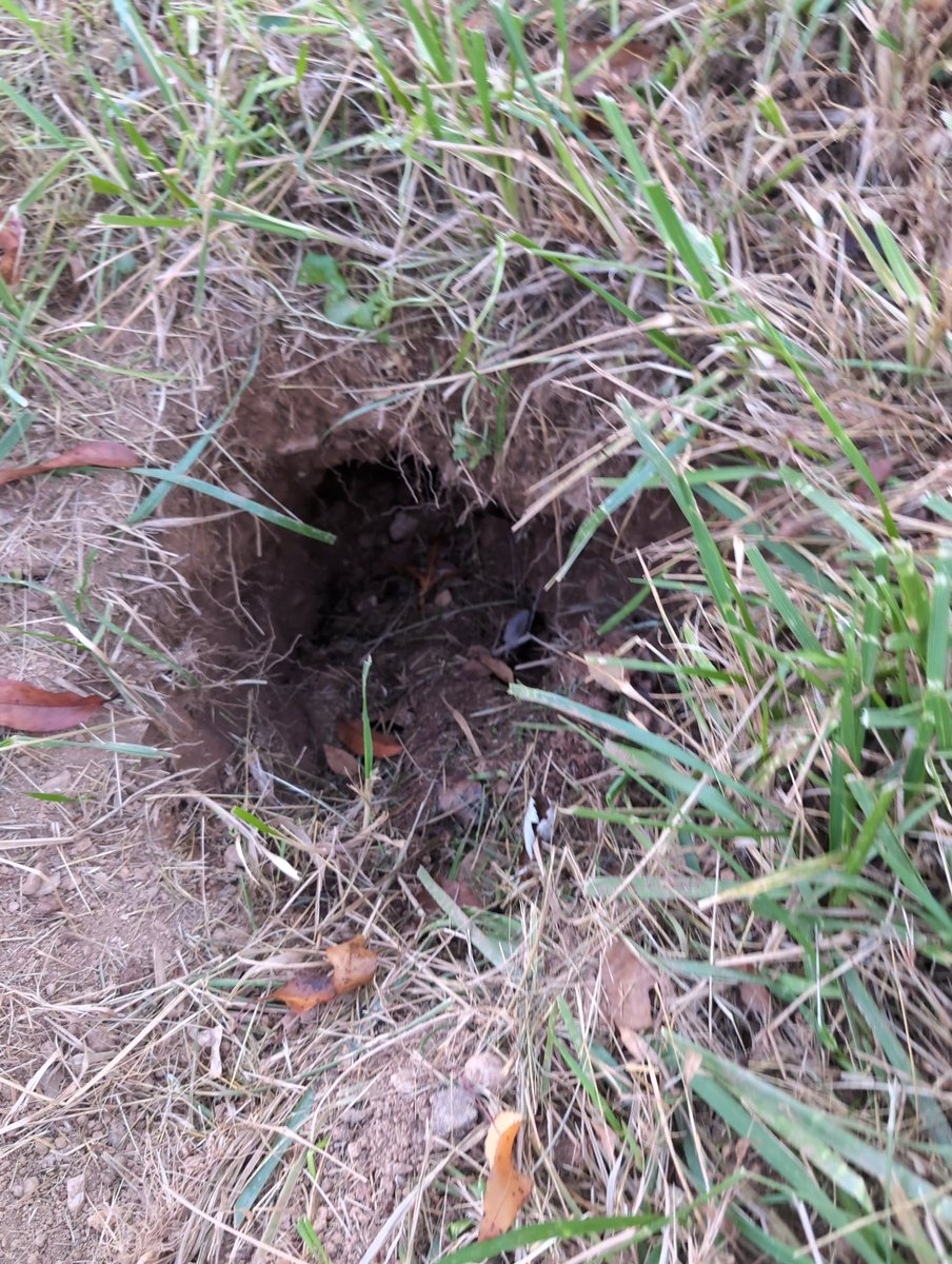 Copernicus dug a hole!