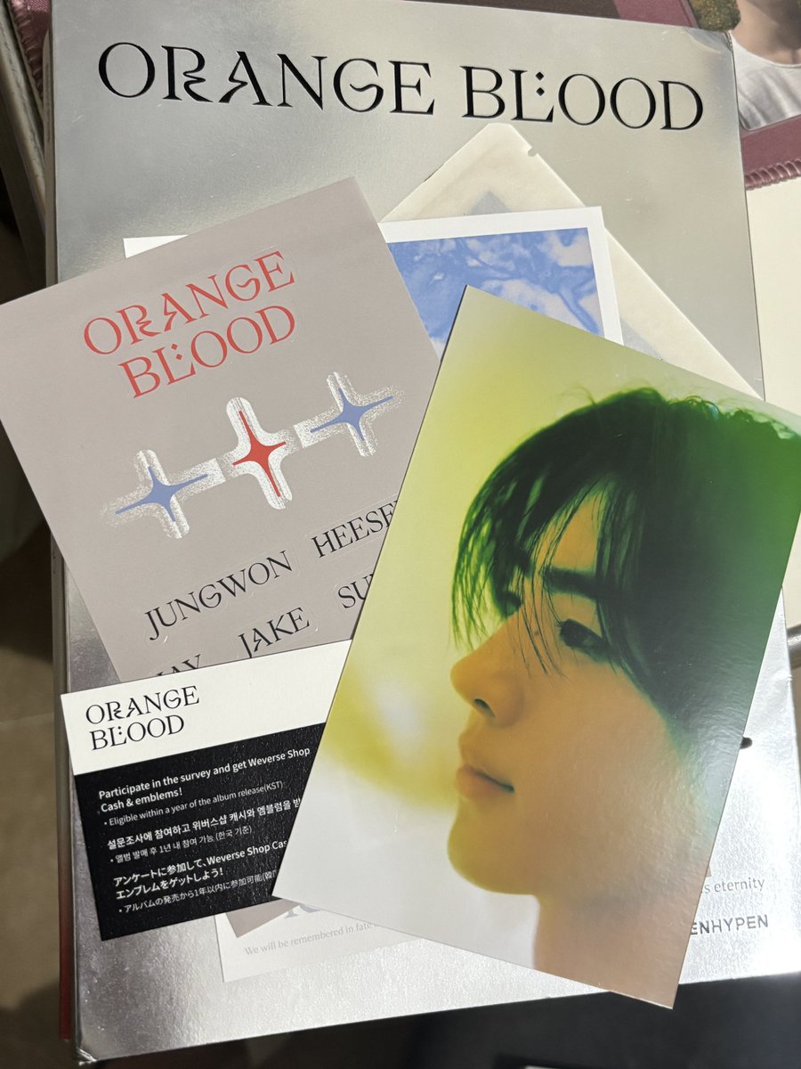 ysahaul's tweet photo. wts lfb enhypen unsealed albums and pc set

 ₱2,000 TAKE ALL

Albums complete inclu except PCs
- Dark blood new version
- Orange blood kalpa ver
- Orange blood engene ver (ni-ki)
- all mint
- x sensi

Can break set as long as will get 3 or more pc

📍Laguna
🚚 j&amp;t, lbc, lalamove https://t.co/cX04iKuSya
