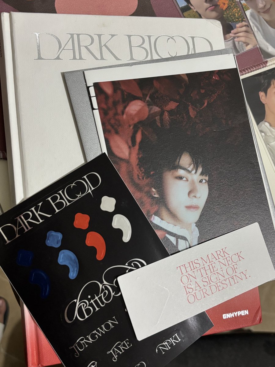 ysahaul's tweet photo. wts lfb enhypen unsealed albums and pc set

 ₱2,000 TAKE ALL

Albums complete inclu except PCs
- Dark blood new version
- Orange blood kalpa ver
- Orange blood engene ver (ni-ki)
- all mint
- x sensi

Can break set as long as will get 3 or more pc

📍Laguna
🚚 j&amp;t, lbc, lalamove https://t.co/cX04iKuSya