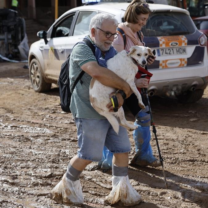 Y entre todo el barro y tragedia, pequeñas esperanzas ❤️‍🩹