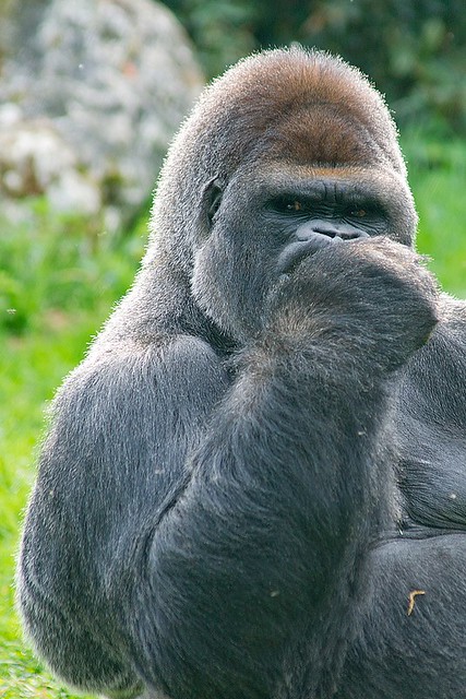 J'espère que le week-end était bien de votre côté !