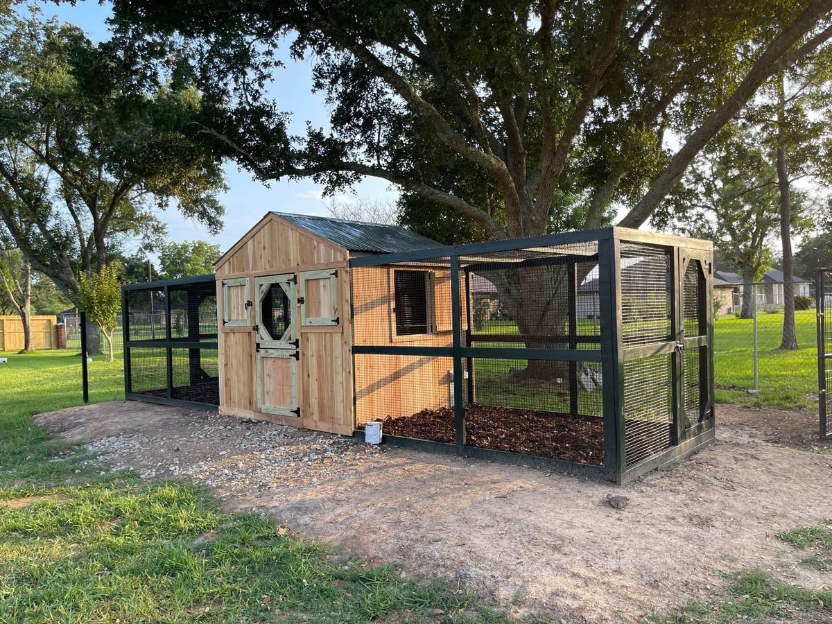 Nicole_Graham84's tweet photo. Large spaces or creative nooks, we can build anywhere. We also build catios, goat, duck, quail and dog structures. 
832-722-2249 
-Chicken Mike #chickens #coops #chickencoops #backyardchickens #fresheggs #fresheggsdaily #urbanpoultry #urbanpoultryeducation #selfsustainable https://t.co/XqihC6KO5h