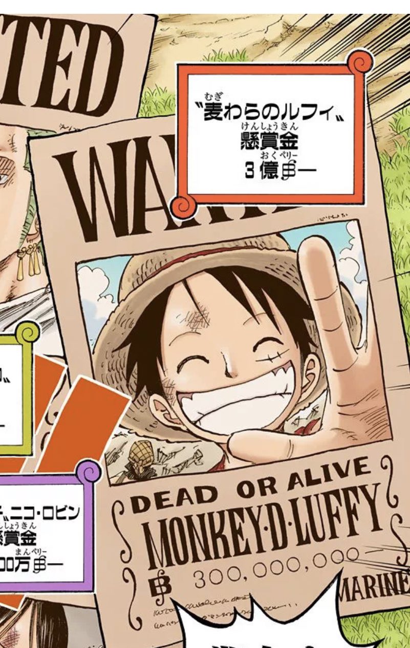 ワンピース ルフィ 懸賞金300,000,000ベリー