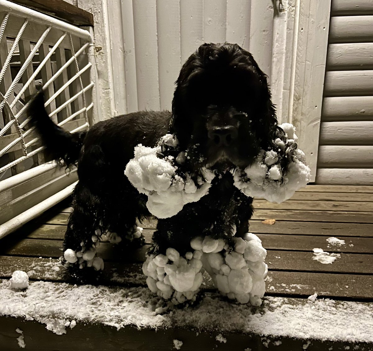 SomeRepe tweet media