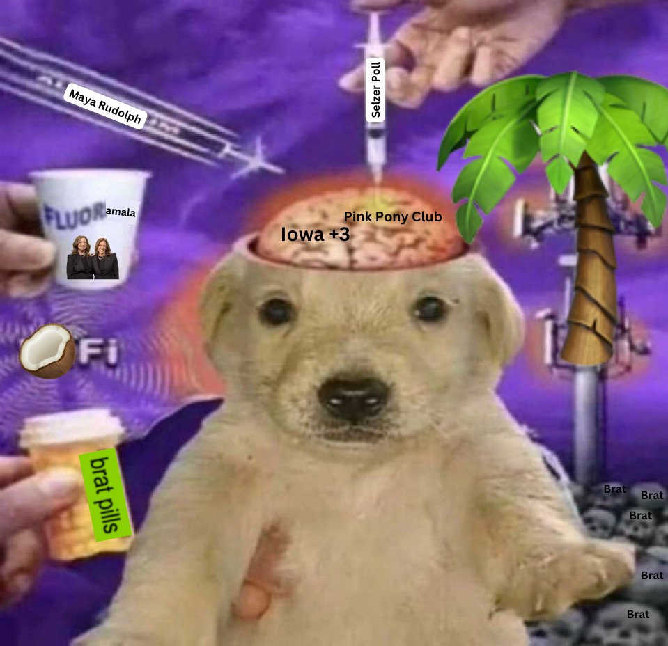 ryanlong03's tweet image. Watching Kamala on SNL and libbing out over the Iowa +3 poll while drinking my coffee with extra coconut milk