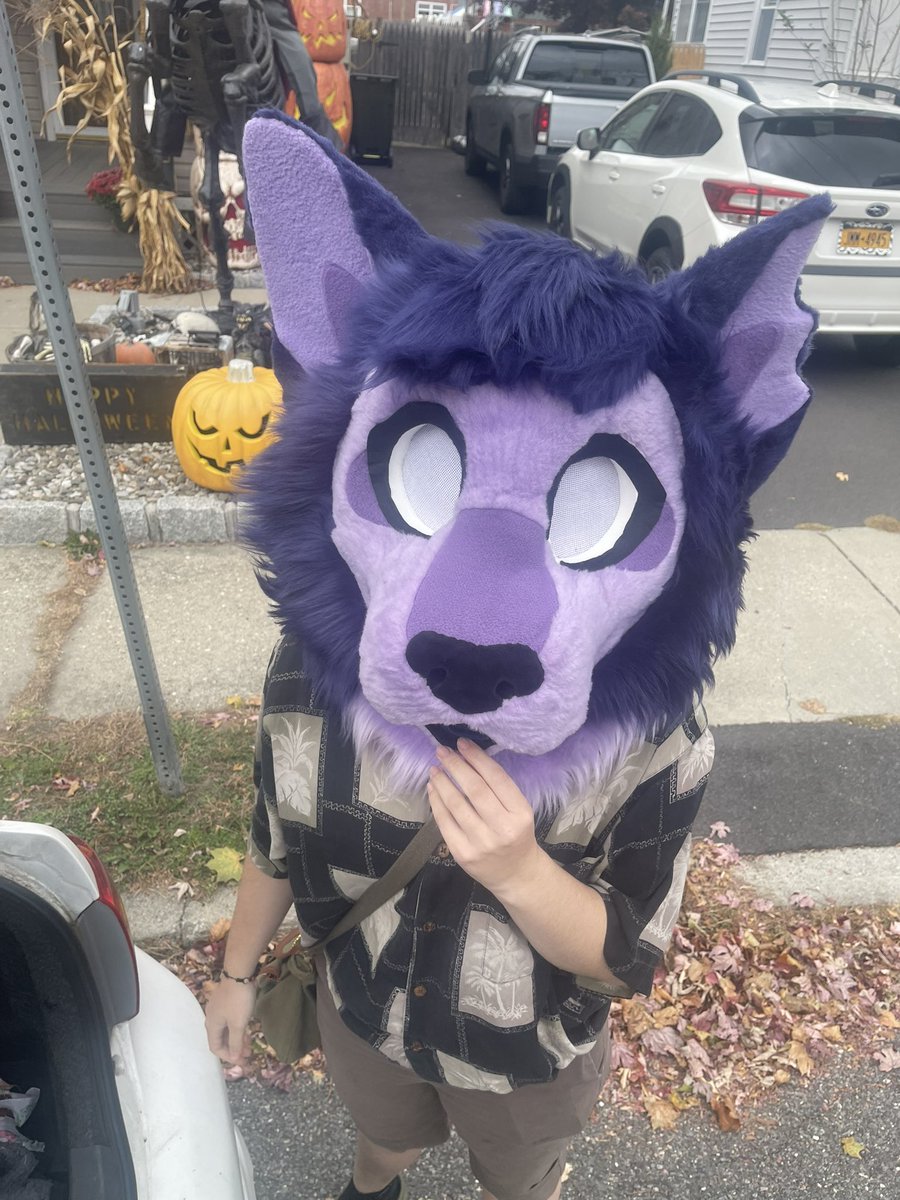 Fruity_phorgs's tweet photo. Hanged out with my BESTIE earlier 
I love handing out them them and being so autistic https://t.co/JnN2Fz17bH